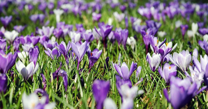 April! Nu �r det v�r